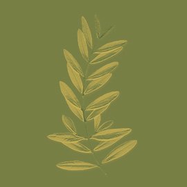 Olio extraverginedi oliva