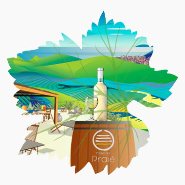 I vini di Colla Micheri
